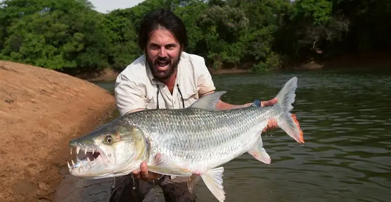 Monster" Sungai Kongo yang Tak Gentar Melawan Buaya