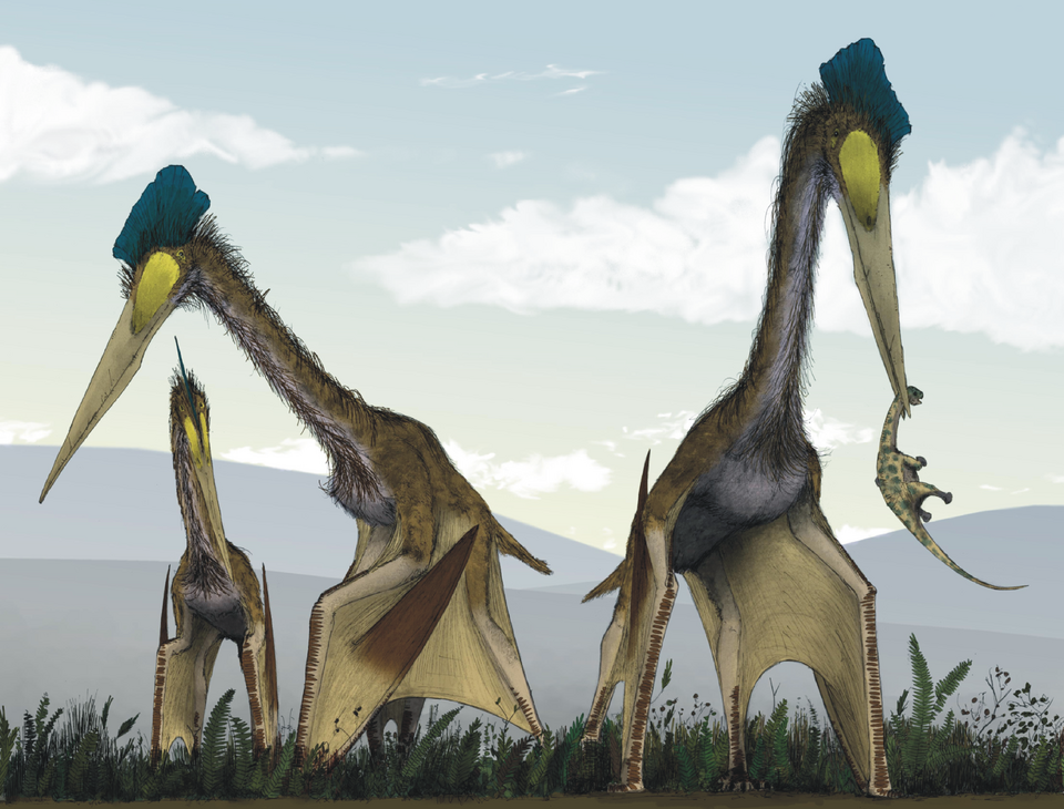 Betulkah Pterosaurus bersuara keras memekakan telinga seperti di film?
