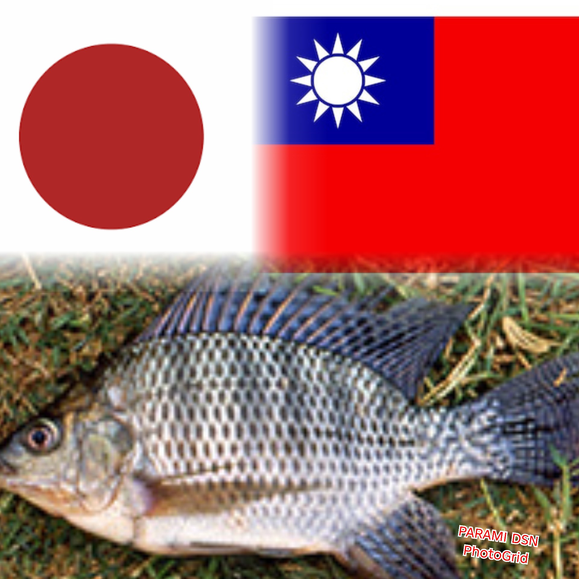 Dilema Ikan Nila: Status Invasif dan Adaptasi Kuliner di Jepang dan Taiwan