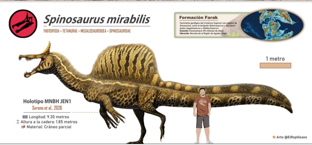 Benarkah Penelitian terbaru Spinosaurus adalah ahli berburu di Rawa?