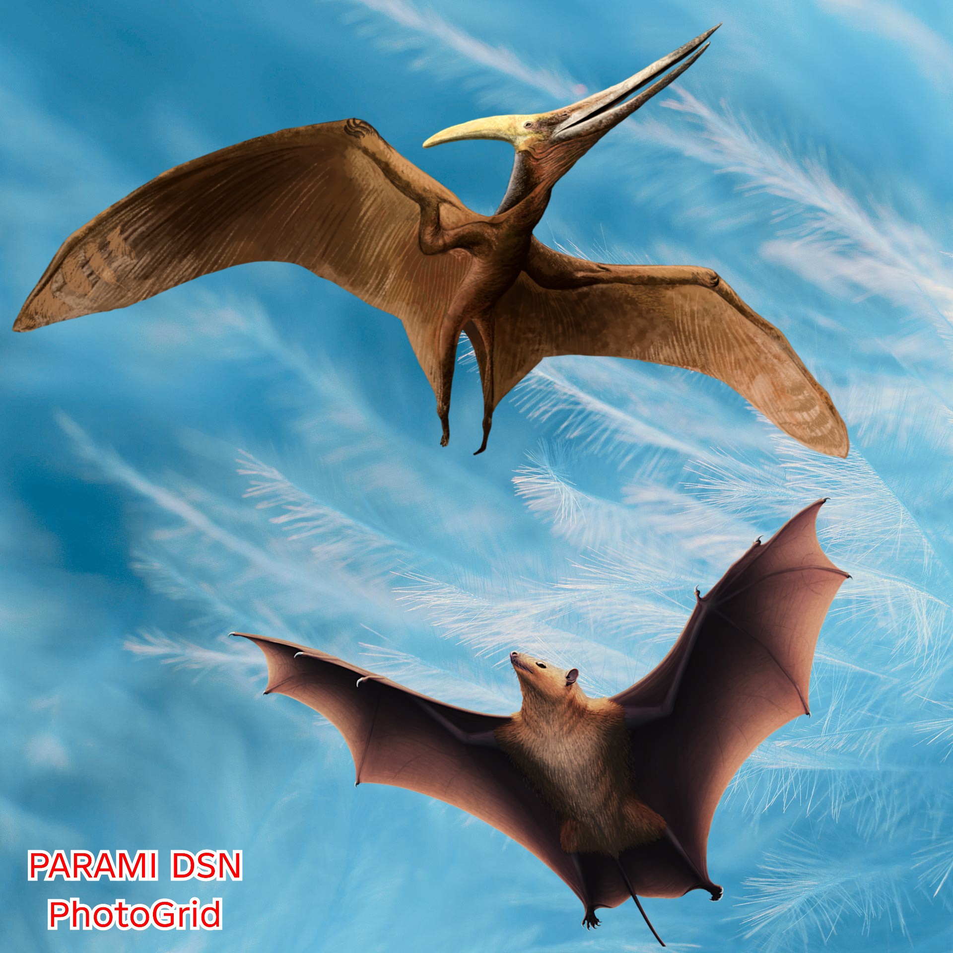 Sama kah Pterosaurus & Kelelawar Purba? Meski Sama Sama bersayap?