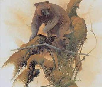 Dendrolagus Stellarum