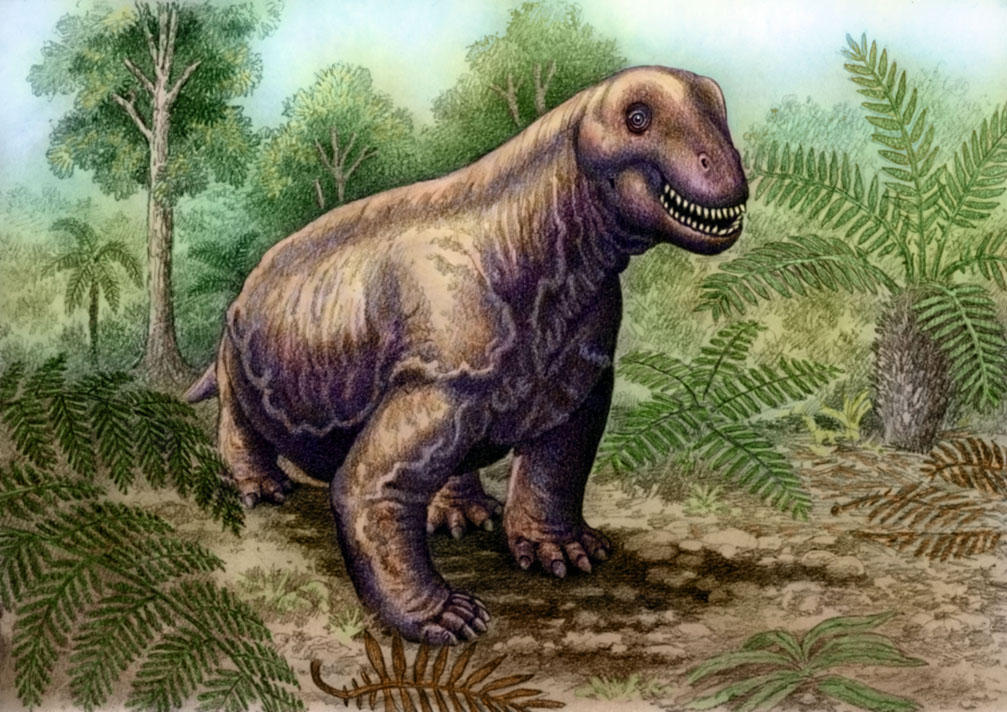 Moschops capensis