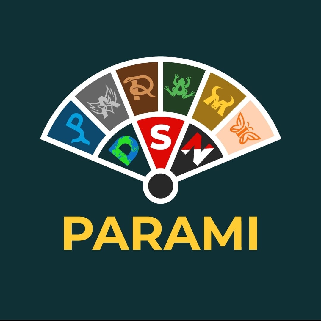 Paraleptophlebia californica