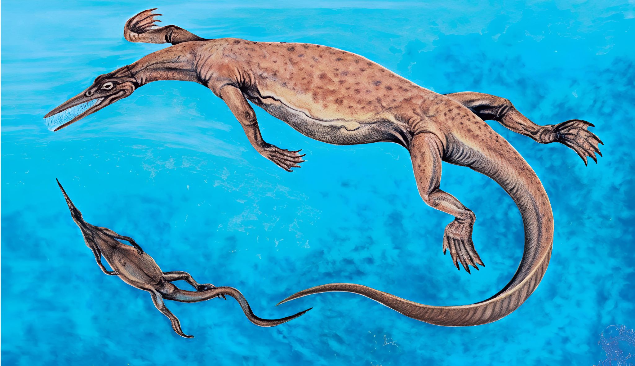 Mesosaurus tenuidens