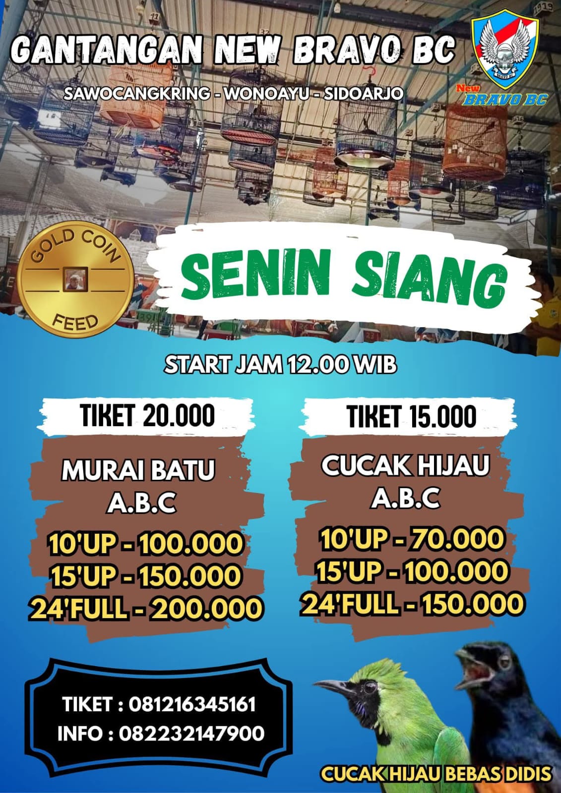 NEW BRAVO BC (LATBER)