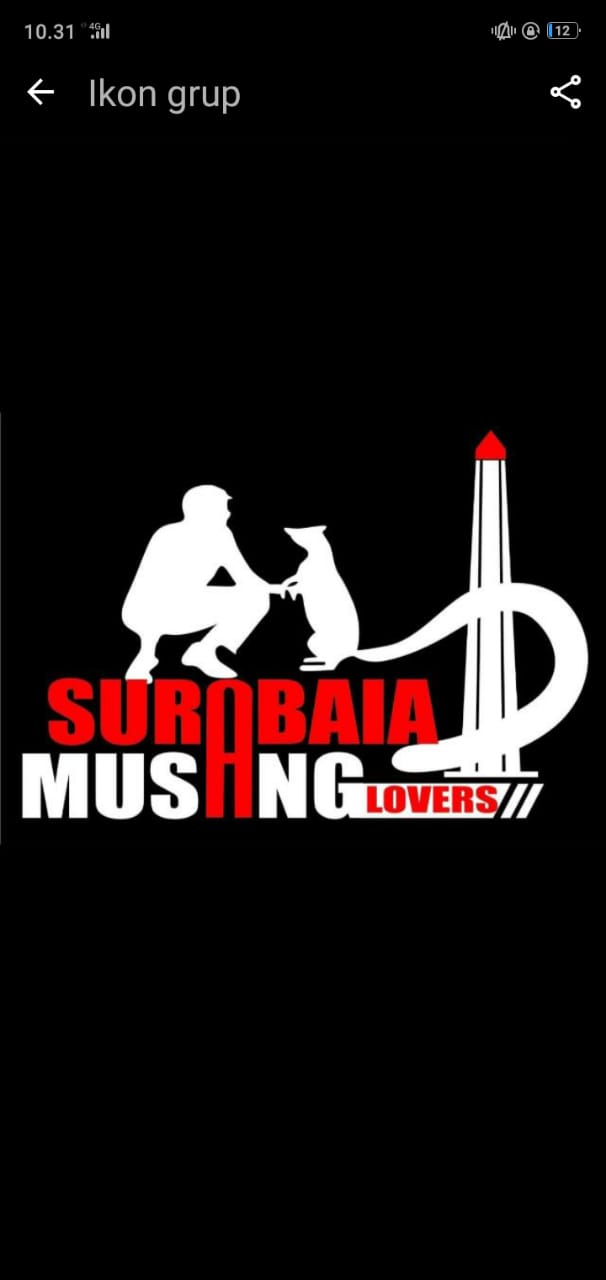 Surabaya Musang Lover