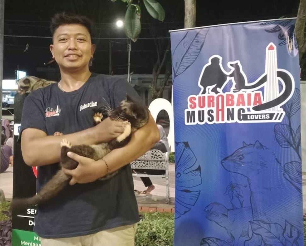 [OSL] (Rahardian) (breader musang & Hamster)