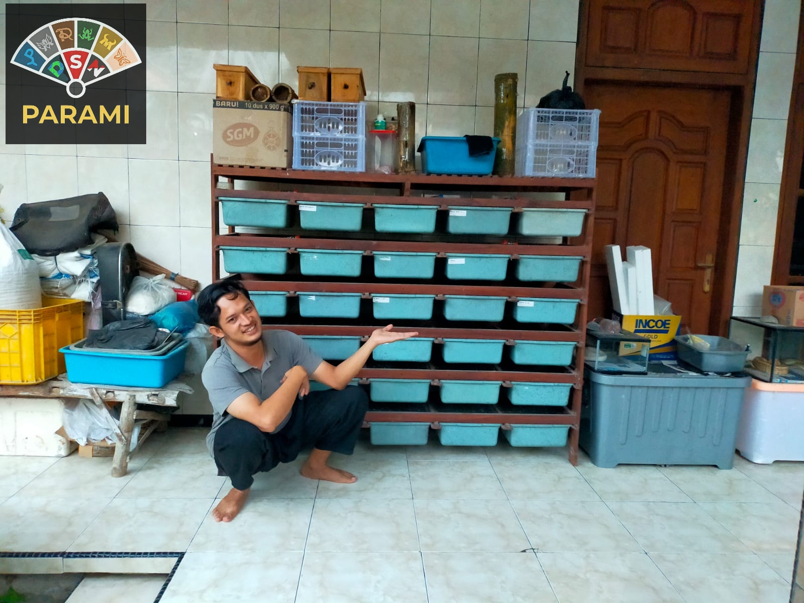 Peternak Mencit di Paciran Lamongan Kebanjiran orderan