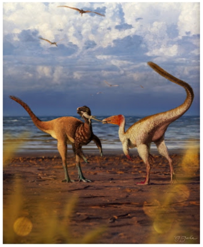 Mengulas Kembali Misteri Coelurosaurus Brasil: Santanaraptor dan Mirischia Ternyata Berbeda